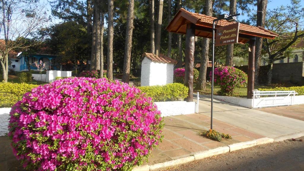 Pousada Pinhal Alto Hotel Nova Petropolis Exterior photo