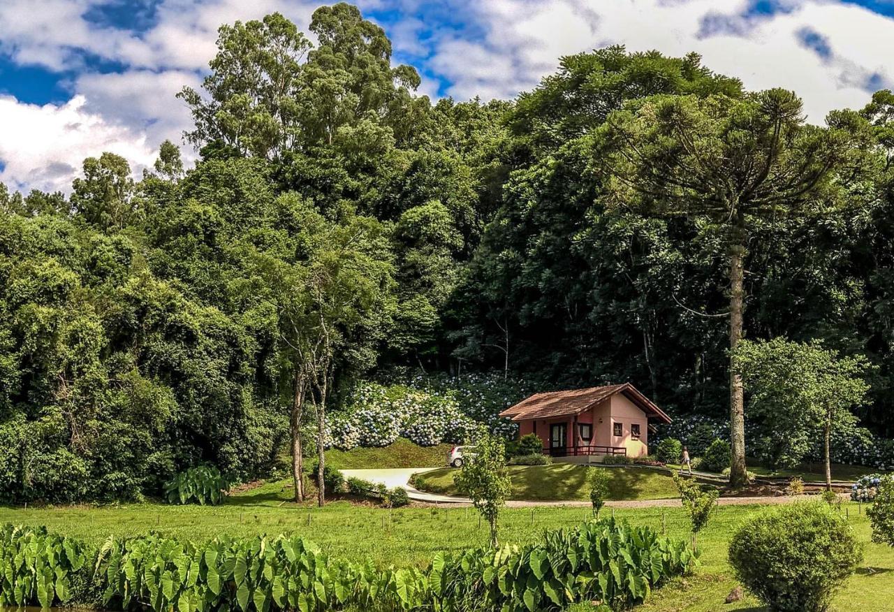 Pousada Pinhal Alto Hotel Nova Petropolis Exterior photo